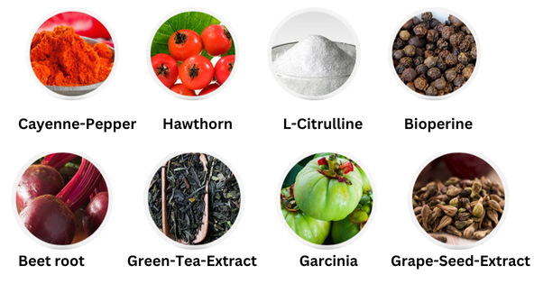 NitriLean Ingredients
